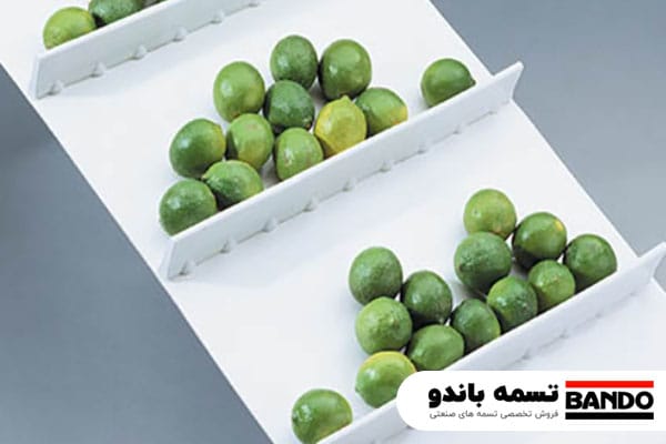 مزایای تسمه نقاله صنایع مواد غذایی