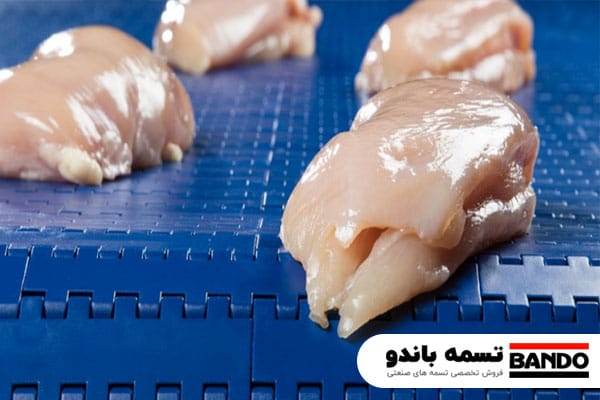 کاربرد تسمه نقاله صنایع غذایی