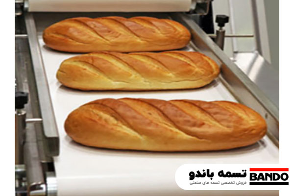 تسمه نقاله صنایع مواد غذایی چیست