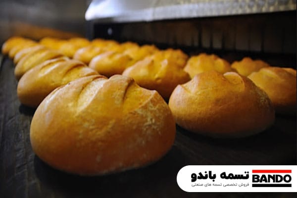 تسمه نقاله صنایع مواد غذایی